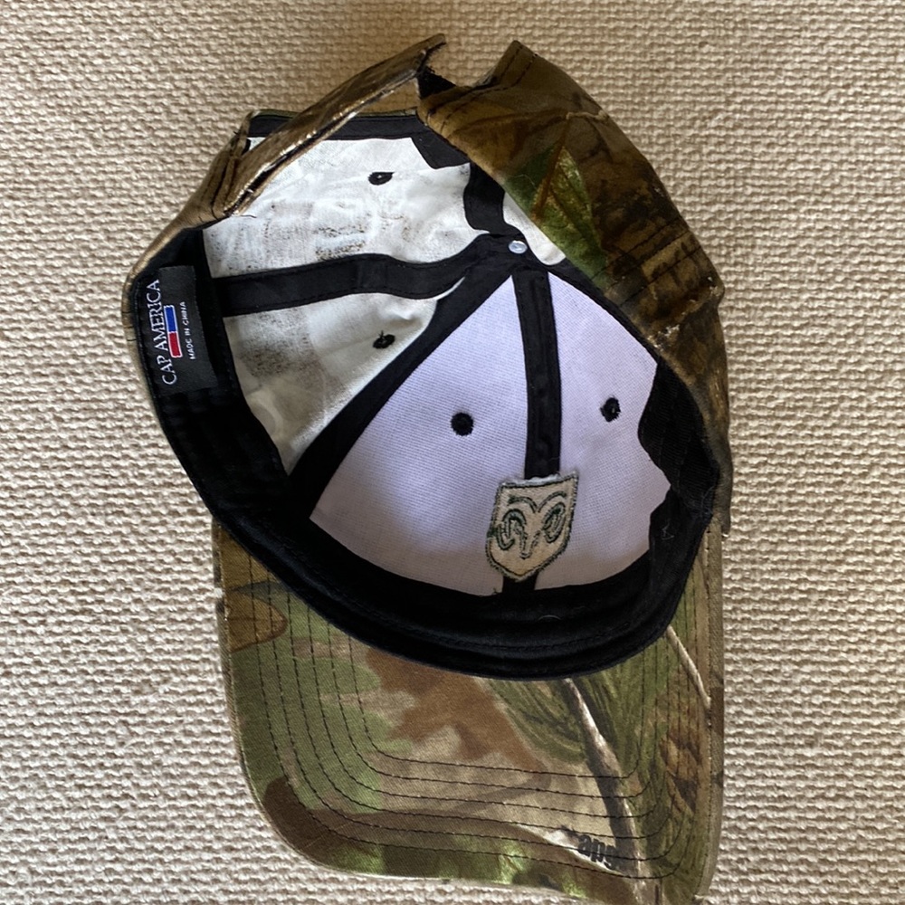 RealTree Pattern Ram Cap - Picture 2 of 4